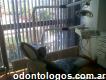 Consultorio Odontológico Oriolani - Urgencias 24hs