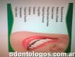 Odontología especializada